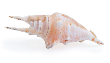 Similar image 722349