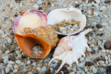 Similar image 722367