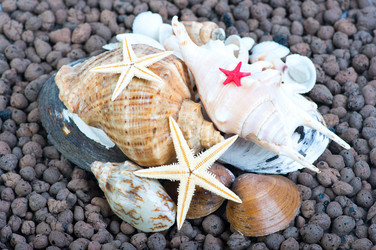 Similar image 722372