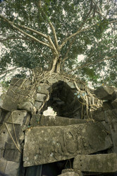 Similar image 722389