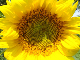 Similar image 722390