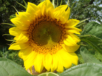 Similar image 722391