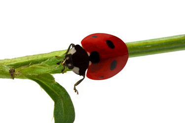 Similar image 722408