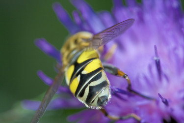 Similar image 722457