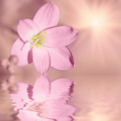 Similar image 722470