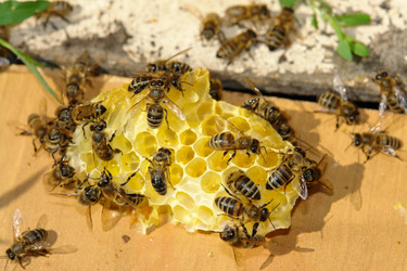 Similar image 722481