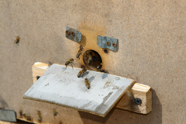 Similar image 722486