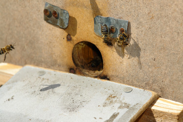 Similar image 722487