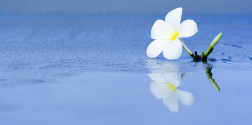 Similar image 722524