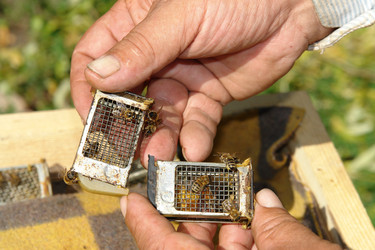 Similar image 722529