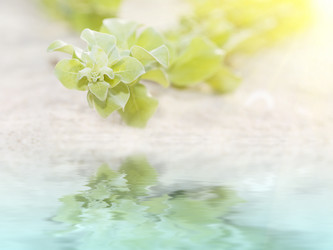 Similar image 722532