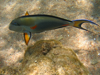 Similar image 722555