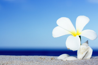 Similar image 722561