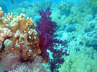 Similar image 722569