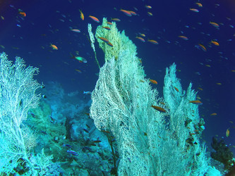 Similar image 722570