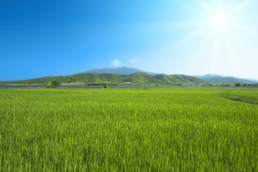 Similar image 722571