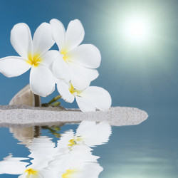 Similar image 722577