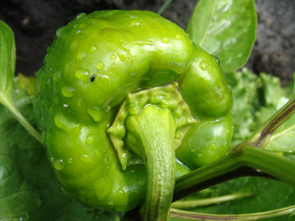 Similar image 722579