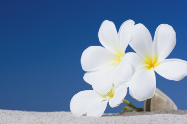 Similar image 722582