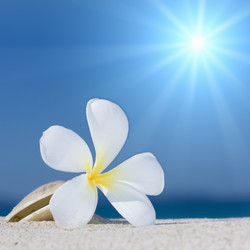 Similar image 722590