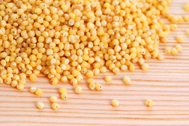 Similar image 722594