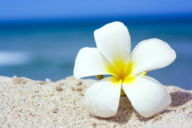 Similar image 722596