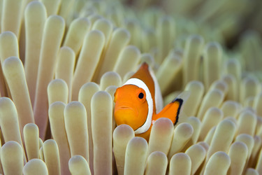 Similar image 722603