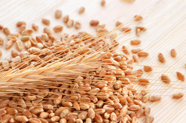 Similar image 722614