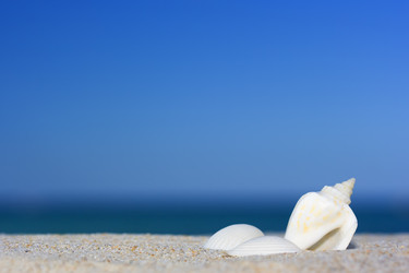 Similar image 722627