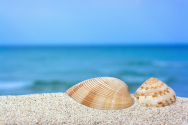 Similar image 722633