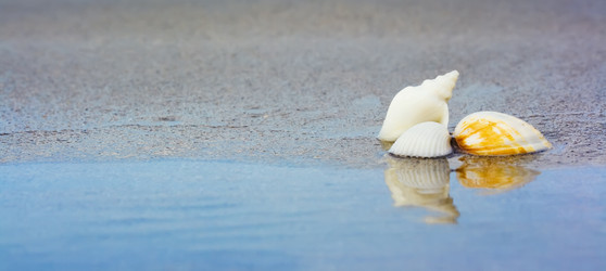 Similar image 722636