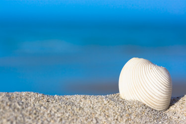 Similar image 722638