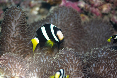 Similar image 722642