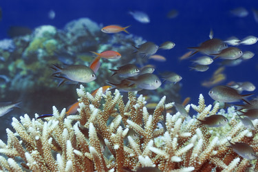 Similar image 722660