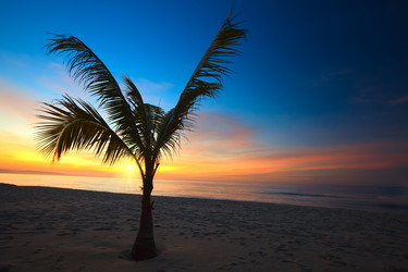 Similar image 722679