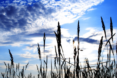 Similar image 722706