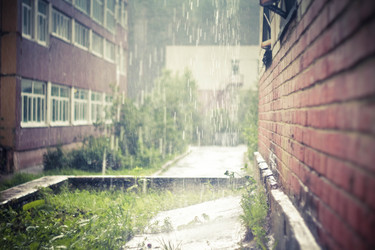 Similar image 722729