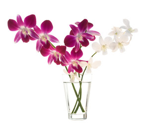 Similar image 722786