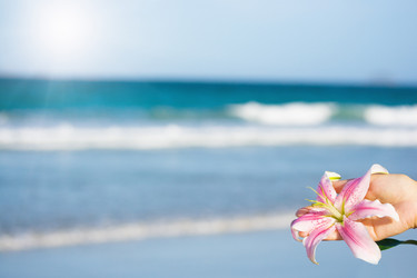 Similar image 722789