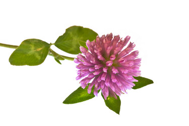 Similar image 722797