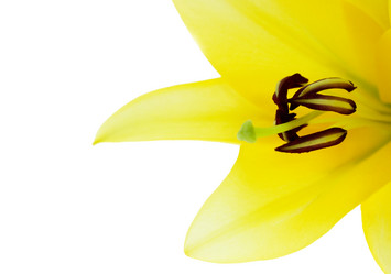 Similar image 722805