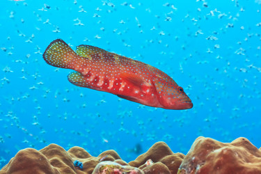 Similar image 722816