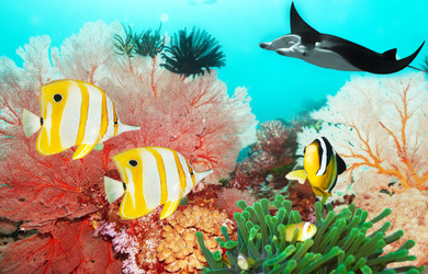 Similar image 722817