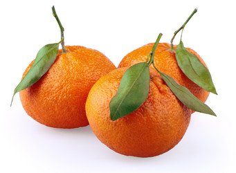 Similar image 722819