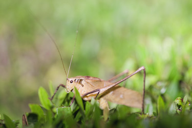 Similar image 722821