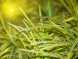 Similar image 722827