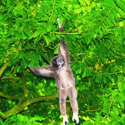 Similar image 722829