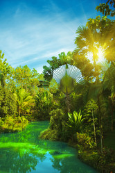 Similar image 722832