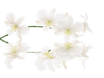 Similar image 722836