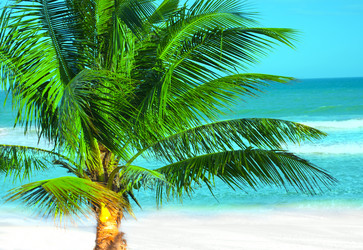 Similar image 722843